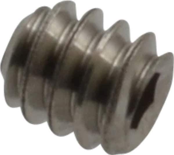 Value Collection - #4-40 UNC, 1/8" OAL, Cup Point Set Screw - Grade 18-8 Stainless Steel, 0.05" Key - Industrial Tool & Supply