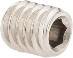 Value Collection - 5/16-18 UNC, 3/8" OAL, Cup Point Set Screw - Grade 18-8 Stainless Steel, 3/32" Key - Industrial Tool & Supply