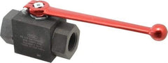 HYDAC - 1" Pipe, Carbon Steel Standard Ball Valve - 1 Piece, FNPT x FNPT Ends, Lever Handle, 6,000 WOG - Industrial Tool & Supply