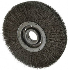 Osborn - 12" OD, 2" Arbor Hole, Crimped Steel Wheel Brush - 2" Face Width, 3-1/4" Trim Length, 0.02" Filament Diam, 3,600 RPM - Industrial Tool & Supply