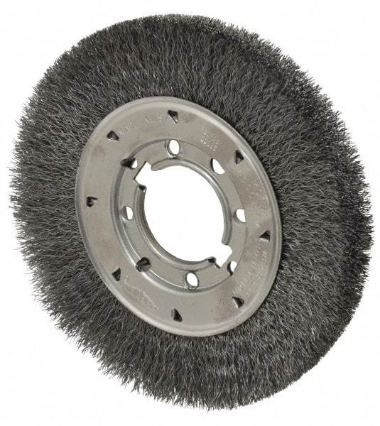 Osborn - 8" OD, 2" Arbor Hole, Crimped Steel Wheel Brush - 5/8" Face Width, 1-1/2" Trim Length, 0.0118" Filament Diam, 4,500 RPM - Industrial Tool & Supply