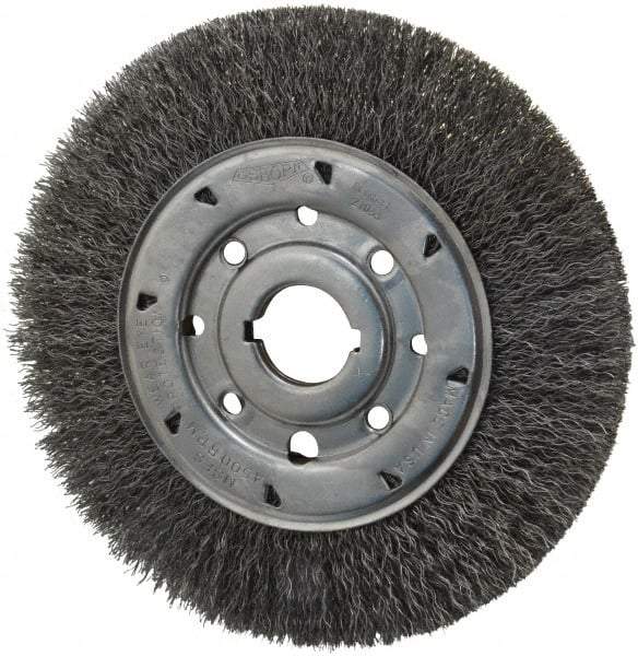 Osborn - 8" OD, 1-1/4" Arbor Hole, Crimped Steel Wheel Brush - 5/8" Face Width, 1-1/2" Trim Length, 0.014" Filament Diam, 4,500 RPM - Industrial Tool & Supply