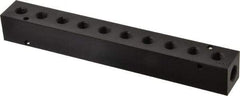 Made in USA - 1/4" Inlet, 1/8" Outlet Manifold - 7-3/4" Long x 1" Wide x 1" High, 0.17" Mount Hole, 2 Inlet Ports, 10 Outlet Ports - Industrial Tool & Supply