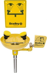 Bradley - Wall Mount, Plastic Bowl, Eye & Face Wash Station - 1/2" Inlet, 30 to 90 psi Flow, 3 GPM Flow Rate - Industrial Tool & Supply