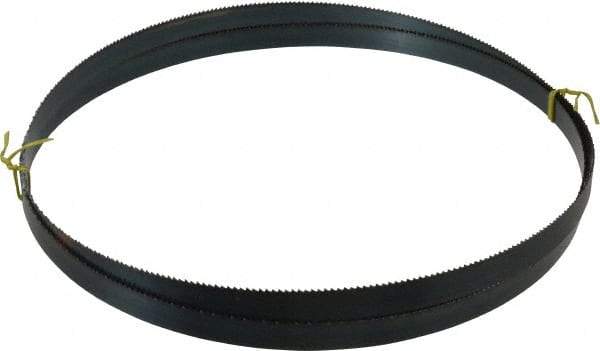 Starrett - 8 TPI, 10' 5" Long x 3/4" Wide x 0.032" Thick, Welded Band Saw Blade - Carbon Steel, Toothed Edge, Raker Tooth Set, Flexible Back, Contour Cutting - Industrial Tool & Supply