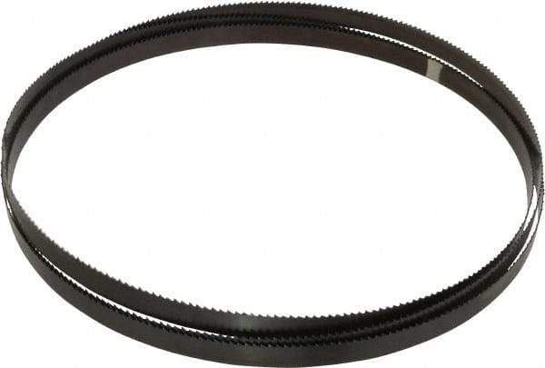 Starrett - 6 TPI, 10' 10-1/2" Long x 3/4" Wide x 0.032" Thick, Welded Band Saw Blade - Carbon Steel, Toothed Edge, Raker Tooth Set, Flexible Back, Contour Cutting - Industrial Tool & Supply