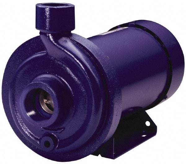 Goulds Pumps - TEFC Motor, 208-230/460 Volt, 4.0/2.0 Amp, 3 Phase, 1 HP, 3500 RPM, Cast Iron Straight Pump - 1-1/4 Inch Inlet, 1 Inch Outlet, 44 Max Head psi, 316L Stainless Steel Impeller, Carbon Ceramic Buna Seal, 102 Ft. Shut Off - Industrial Tool & Supply