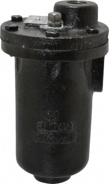 Hoffman Speciality - 3/4" NPT Inlet, 1/2" NPT Outlet, 250 Max psi, Cast Iron Water Vent - 350 Max Hydrostatic psi, 300°F Max - Industrial Tool & Supply