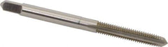 Hertel - #10-32 UNF 4 Flute Bright Finish High Speed Steel Straight Flute Standard Hand Tap - Plug, Right Hand Thread, 2-3/8" OAL, 7/8" Thread Length, H7 Limit, 0.003" Oversize - Exact Industrial Supply