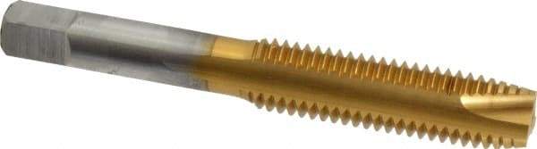Hertel - M12x1.75 Metric Coarse, 3 Flute, TiN Finish, High Speed Steel Spiral Point Tap - Plug Chamfer, Right Hand Thread, 3-3/8" OAL, 1-21/32" Thread Length, 0.367" Shank Diam - Exact Industrial Supply