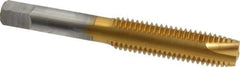 Hertel - M12x1.75 Metric Coarse, 3 Flute, TiN Finish, High Speed Steel Spiral Point Tap - Plug Chamfer, Right Hand Thread, 3-3/8" OAL, 1-21/32" Thread Length, 0.367" Shank Diam - Exact Industrial Supply