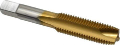 Hertel - M16x2.00 Metric Coarse, 3 Flute, TiN Finish, High Speed Steel Spiral Point Tap - Plug Chamfer, Right Hand Thread, 3-13/16" OAL, 1-13/16" Thread Length, 0.48" Shank Diam - Exact Industrial Supply