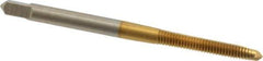 Hertel - M3.5x0.60 Metric Coarse, 2 Flute, TiN Finish, High Speed Steel Spiral Point Tap - Plug Chamfer, Right Hand Thread, 2" OAL, 11/16" Thread Length, 0.141" Shank Diam - Exact Industrial Supply