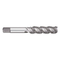 Titan USA - Spiral Flute Taps; Thread Size (Inch): #12-28 ; Chamfer: Semi-Bottoming ; Class of Fit: 2B/3B ; Thread Limit: H3 ; Number of Flutes: 3 ; Material: High Speed Steel - Exact Industrial Supply