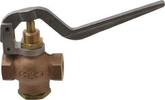 Kingston - 1/4" Pipe, 400 Max psi, Buna N Disc, Self Closing Control Valve - Squeeze Lever, FNPT x FNPT End Connections - Industrial Tool & Supply
