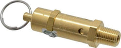 Kingston - 1/4" Inlet, ASME Safety Relief Valve - 50 Max psi, Brass - Industrial Tool & Supply