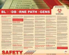NMC - 30" Wide x 24" High Laminated Paper Bloodborne Pathogens Information Poster - English - Industrial Tool & Supply