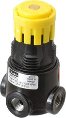 Parker - 1/8 NPT Port, 13 CFM, Zinc Miniature Regulator - 2 to 125 psi Range, 300 Max psi Supply Pressure, 1/8" Gauge Port Thread, 1.65" Wide x 2.88" High - Industrial Tool & Supply