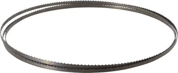 Starrett - 6 TPI, 7' 9" Long x 1/4" Wide x 0.025" Thick, Welded Band Saw Blade - Carbon Steel, Toothed Edge, Raker Tooth Set, Flexible Back, Contour Cutting - Industrial Tool & Supply