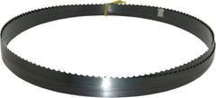 Starrett - 3 TPI, 18' 6" Long x 3/4" Wide x 0.032" Thick, Welded Band Saw Blade - Carbon Steel, Toothed Edge, Raker Tooth Set, Flexible Back, Contour Cutting - Industrial Tool & Supply