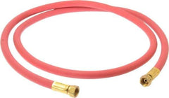 Coilhose Pneumatics - Paint Sprayer Hose with Fittings - Fixture, Compatible with Paint Sprayers - Industrial Tool & Supply