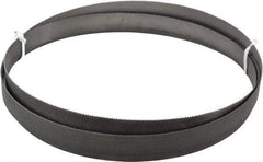 Lenox - 10 to 14 TPI, 9' 7-1/2" Long x 1" Wide x 0.035" Thick, Welded Band Saw Blade - Bi-Metal, Toothed Edge, Modified Raker Tooth Set, Flexible Back, Contour Cutting - Industrial Tool & Supply
