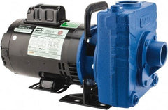 American Machine & Tool - 115/230 Volt, 1 Phase, 3/4 HP, Self Priming Centrifugal Pump - 1-1/2 Inch Inlet, 78 Head Pressure, Cast Iron Housing and Impeller - Industrial Tool & Supply