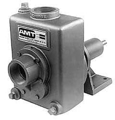 American Machine & Tool - 2 Inch Outlet, Cast Iron, Pedestal Mount Pump - F.G. Casing Seal, Pedestal Pump - Industrial Tool & Supply