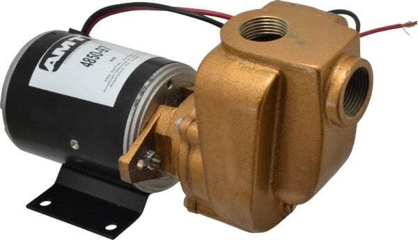 American Machine & Tool - 12 Volt, 1/8 hp, 3/4 Inlet, Bronze Utility Pump - 14 Max Head Pressure, 3/4 Inch Outlet - Industrial Tool & Supply