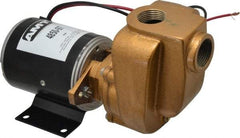 American Machine & Tool - 12 Volt, 1/8 hp, 3/4 Inlet, Bronze Utility Pump - 14 Max Head Pressure, 3/4 Inch Outlet - Industrial Tool & Supply