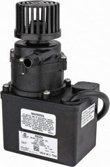 Little Giant Pumps - 1/35 HP, 12.8 Shut Off Feet, Magnetic Drive Pump - 1 Phase, 60 Hz - Industrial Tool & Supply