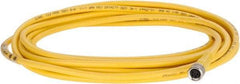 Brad Harrison - 3 Amp, M8 Female Straight to Pigtail Cordset Sensor and Receptacle - 60 VAC, 75 VDC, 4m Cable Length, IP68 Ingress Rating - Industrial Tool & Supply