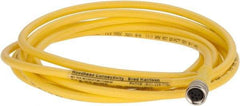 Brad Harrison - 3 Amp, M8 Female Straight to Pigtail Cordset Sensor and Receptacle - 60 VAC, 75 VDC, 2m Cable Length, IP68 Ingress Rating - Industrial Tool & Supply