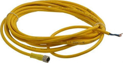 Brad Harrison - 3 Amp, M8 Female Straight to Pigtail Cordset Sensor and Receptacle - 60 VAC, 75 VDC, 5m Cable Length, IP68 Ingress Rating - Industrial Tool & Supply