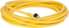 Brad Harrison - 3 Amp, M8 Female 90° to Pigtail Cordset Sensor and Receptacle - 60 VAC, 75 VDC, 5m Cable Length, IP67 Ingress Rating - Industrial Tool & Supply