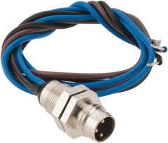 Brad Harrison - 4 Amp, M8 Male Straight Receptacle - 60 VAC, 75 VDC, 0.30m Cable Length, IP67 Ingress Rating - Industrial Tool & Supply