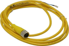 Brad Harrison - 4 Amp, M12 Female Straight to Pigtail Cordset Sensor and Receptacle - 250 VAC/VDC, 2m Cable Length, IP67 Ingress Rating - Industrial Tool & Supply