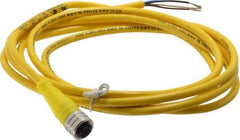 Brad Harrison - 4 Amp, M12 Female Straight to Pigtail Cordset Sensor and Receptacle - 250 VAC/VDC, 2m Cable Length, IP67 Ingress Rating - Industrial Tool & Supply