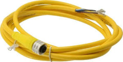 Brad Harrison - 4 Amp, M12 Female Straight to Pigtail Cordset Sensor and Receptacle - 250 VAC/VDC, 2m Cable Length, IP67 Ingress Rating - Industrial Tool & Supply