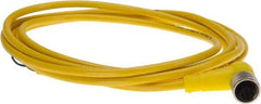 Brad Harrison - 4 Amp, M12 Female 90° to Pigtail Cordset Sensor and Receptacle - 250 VAC/VDC, 2m Cable Length, IP67 Ingress Rating - Industrial Tool & Supply