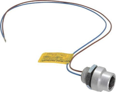 Brad Harrison - 4 Amp, 1/2-20 UNF Female Straight Receptacle - 250 VAC/VDC, 0.31m Cable Length, IP67 Ingress Rating - Industrial Tool & Supply