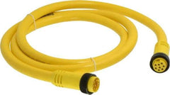 Brad Harrison - 7 Amp, Female Straight, Male Straight Cordset Sensor and Receptacle - 600 Volt, 1.83m Cable Length, IP67 Ingress Rating - Industrial Tool & Supply