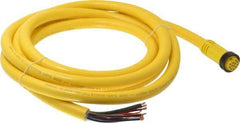 Brad Harrison - 5 Amp, Female Straight to Pigtail Cordset Sensor and Receptacle - 600 Volt, 3.66m Cable Length, IP67 Ingress Rating - Industrial Tool & Supply