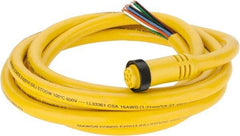 Brad Harrison - 7 Amp, Female Straight to Pigtail Cordset Sensor and Receptacle - 600 Volt, 3.66m Cable Length, IP67 Ingress Rating - Industrial Tool & Supply