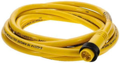 Brad Harrison - 13 Amp, Male Straight to Pigtail Cordset Sensor and Receptacle - 600 Volt, 3.66m Cable Length, IP67 Ingress Rating - Industrial Tool & Supply