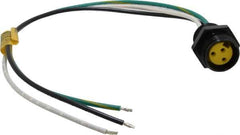 Brad Harrison - 13 Amp, Female Straight Receptacle - 600 VAC/VDC, 0.31m Cable Length, IP67 Ingress Rating - Industrial Tool & Supply