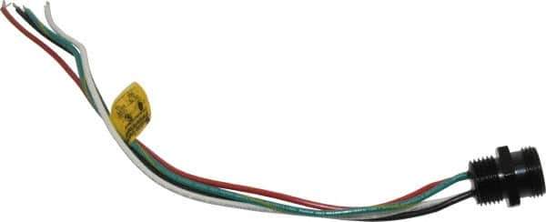 Brad Harrison - 10 Amp, Male Straight Receptacle - 600 VAC/VDC, 0.31m Cable Length, IP67 Ingress Rating - Industrial Tool & Supply