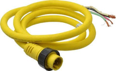 Brad Harrison - 15 Amp, Male Cordset Sensor and Receptacle - IP68 Ingress Rating - Industrial Tool & Supply