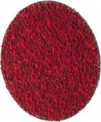 Merit Abrasives - 2" Disc Diam, 36 Grit, Ceramic Quick Change Disc - Type R Attaching System, Coated, Very Coarse Grade, 30,000 RPM - Industrial Tool & Supply