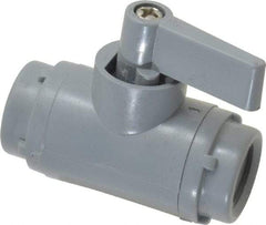 Specialty Mfr - 1/4" Pipe, PVC Standard Ball Valve - Inline - Two Way Flow, FNPT x FNPT Ends, Wedge Handle, 125 WOG - Industrial Tool & Supply